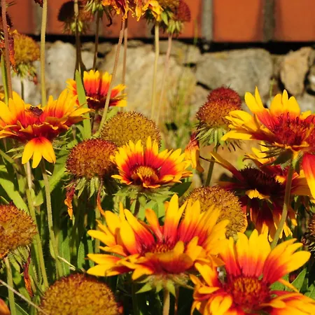 Yezioro Kosewo (Slupca)