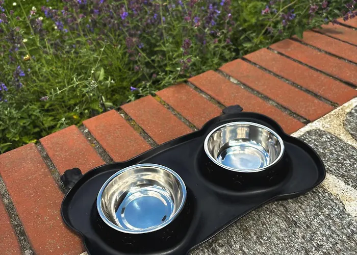 Yezioro Willa Kosewo (Slupca)